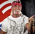 Thumbnail for Hulk Hogan