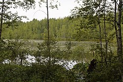 Vähäjärveä sen etelärannalta.