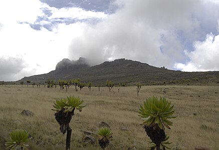 Pic de Koitobos, Kenya