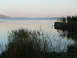 Feuchtgebiet am Nordwestrand unweit von Biograd na Moru