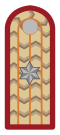 Subteniente Infantería Ejército de Bolivia