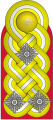 Generaloberst (German Army)[13]