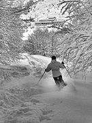 Photo en noir et blanc d'un homme vu de dos faisant du ski dans la poudreuse.