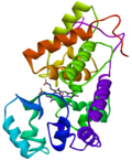 Thumbnail for Horseradish peroxidase