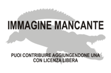 Immagine di Mekosuchinae mancante