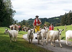 Inalpe à Appenzell