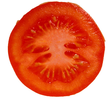 Tomato-cut_horizontal.png : vue en coupe horizontale