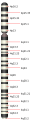 Pienoiskuva 29. joulukuuta 2011 kello 18.43 tallennetusta versiosta