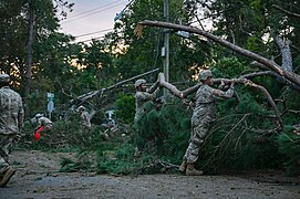 Georgian kansalliskaarti raivaa kaatuneita puita myrskyn jäljiltä.