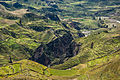 Image 13Agriculture terraces were (and are) common in the austere, high-elevation environment of the Andes. (from History of agriculture)