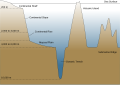 Image 42Cross-section of an ocean basin, note significant vertical exaggeration (from Pelagic fish)