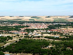 Anvista de Tudela de Duero