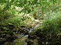 Wasserführung im September im unteren Hergstbachtal