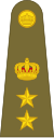 Colonel