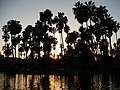 Echo Park