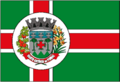 Bandeira de Santo Antônio do Pinhal