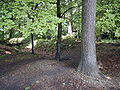 Wall und Graben der Bergisch-Märkischen Landwehr bei Radevormwald-Filde