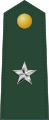 Brigadier general (Liberian Ground Forces)[31]