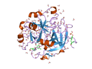 1t4v: Crystal Structure Analysis of a novel Oxyguanidine bound to Thrombin