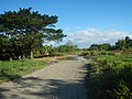 The railway's right of way before construction.