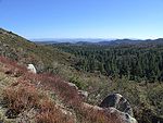 Cleveland National Forest near Mount Laguna.