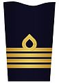 Sleeve insignia on innerkavaj m/48 ("inner jacket m/48") for a colonel. (2000–present)