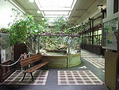 Interior de la Galerie de herpetología