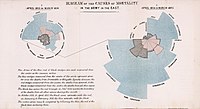 Polar chart by Florence Nightingale, 1858