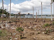 Pulau Andaman, setelah tsunami