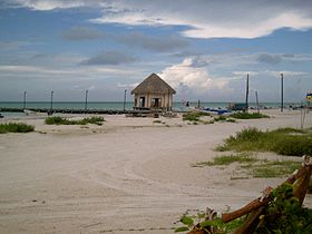 Vue d'une plage de Holbox en juin 2008.