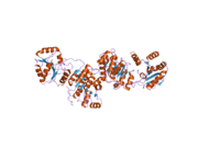 2j0u: THE CRYSTAL STRUCTURE OF EIF4AIII-BARENTSZ COMPLEX AT 3.0 A RESOLUTION