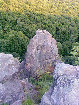 Zacharovanyi Krai National Nature Park.jpg