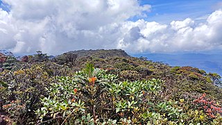 Babas ba punchak Gunung Murud