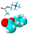 acetylcholine