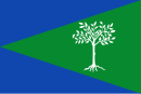 Drapeau de Aliseda