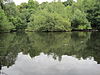 Leg of Mutton Pond in Moat Mount Open Space