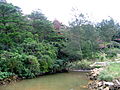 A pond in Okinawa