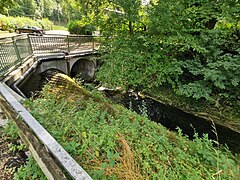 Dole am Schäferhundeverein Waiblingen