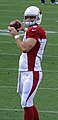 Drew Stanton.