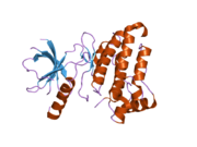 2hel: Crystal structure of a mutant EphA4 kinase domain (Y742A)