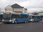 Two Gillig BRTs