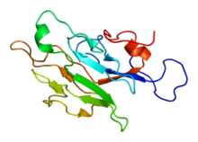 Protein RNF8 PDB 2csw.png