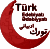 Turkic Literature Logo