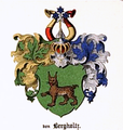 Bergholtz familiako armarria (1882).