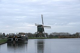 Bonkmolen