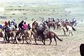 Naadam festivalı zamanı Monqol atları