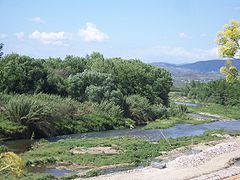 photographie couleurs : un paysage de rivière boisée