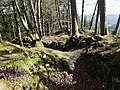 Bild 3: Blick über den Rest des Turmes zum Mauerrest des südlichen Gebäudes