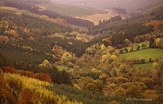 Blick auf die Slieve Blooms vom Glinsk-Castle-Wanderweg