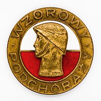 Brązowa odznaka „Wzorowy Podchorąży”